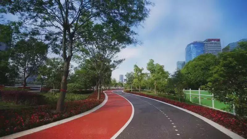 体育消费券满足市民健身消费需求,体育消费券活动