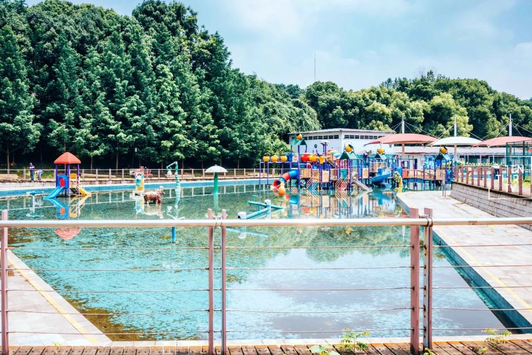 武汉是怎样的一座城,武汉发展汉阳