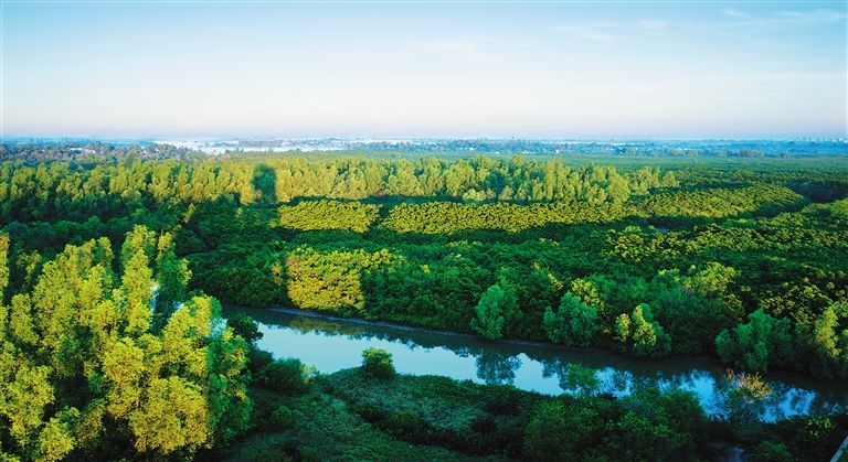 现在海南买房价格多少钱,海南买房性价比高吗