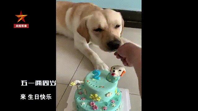 我们学会了告别却低估了思念,成长的第一步就是要学会告别