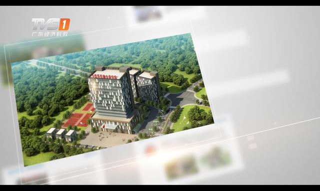 广州经济频道新焦点,广东新焦点科技