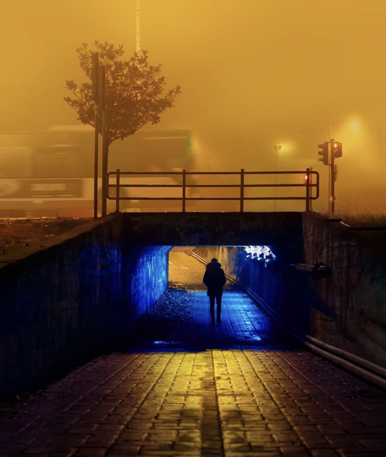 世界最佳色彩构图摄影,摄影作品色彩与构图搭配照片