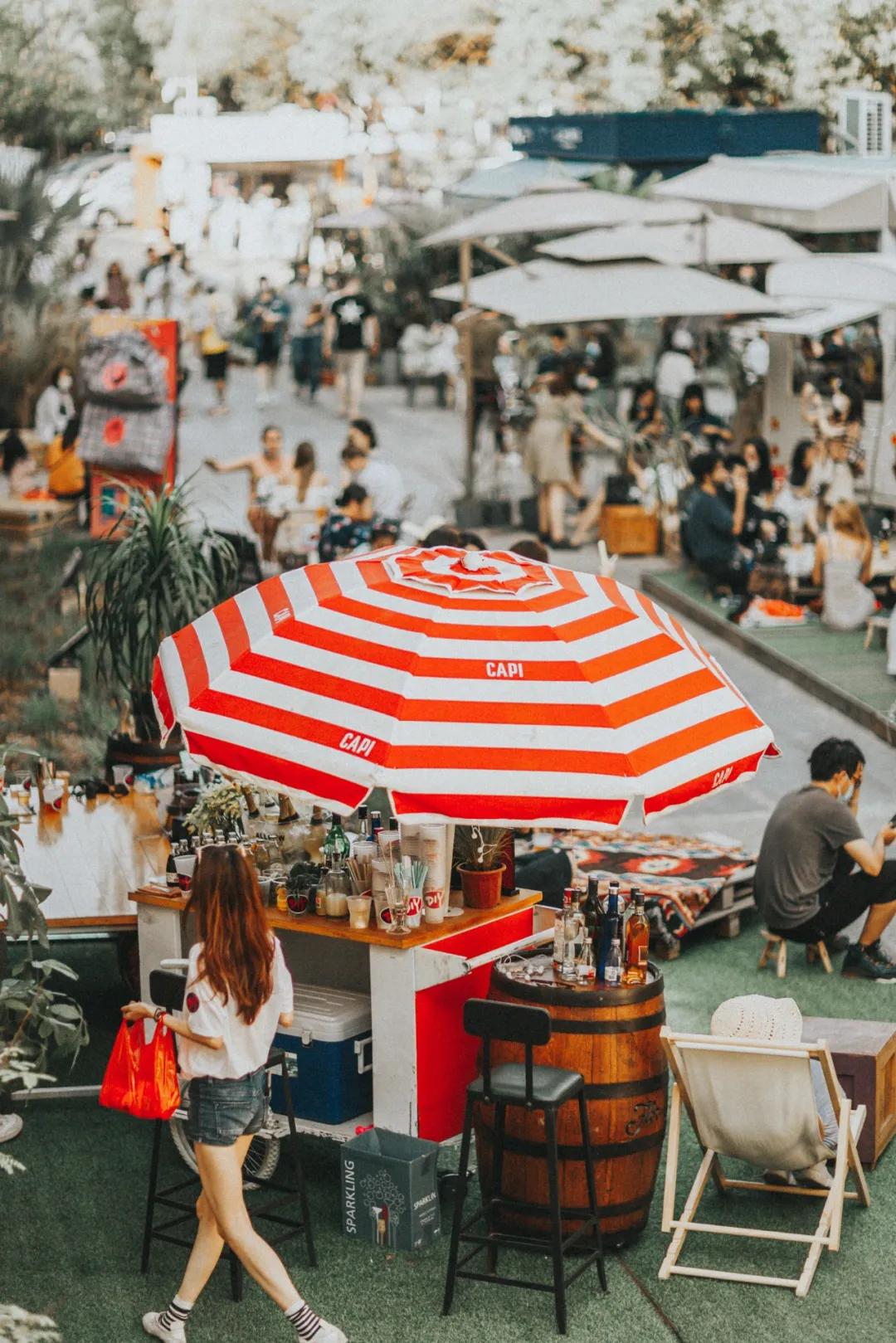 爱宠大机密作战计划,爱宠大作战作战计划