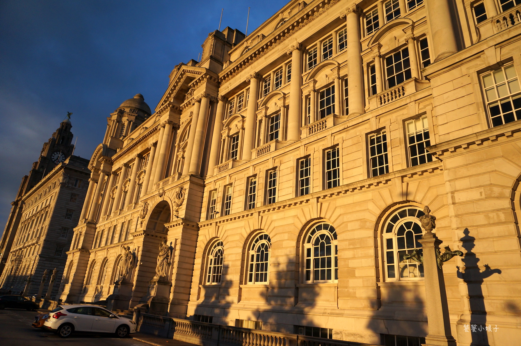 利物浦队徽上是什么鸟,利物浦队徽是什么鸟