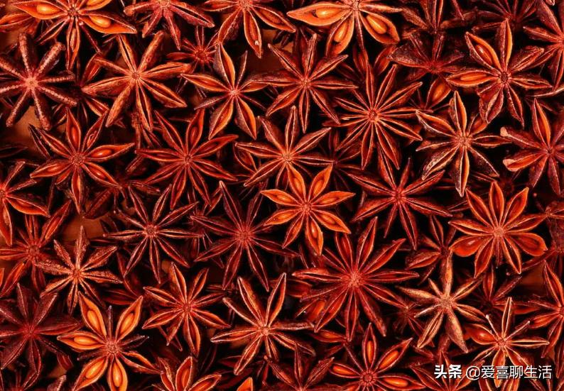 假八角和真的八角有什么区别,八角有毒的鉴别方法