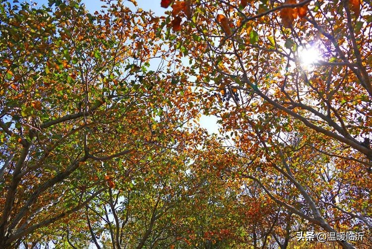 竹泉村景区,最美竹泉村
