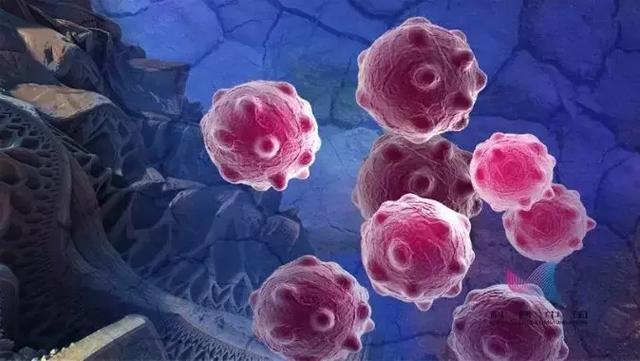 2019中国科协发布科学流言终结榜,中国科学十大流言发布