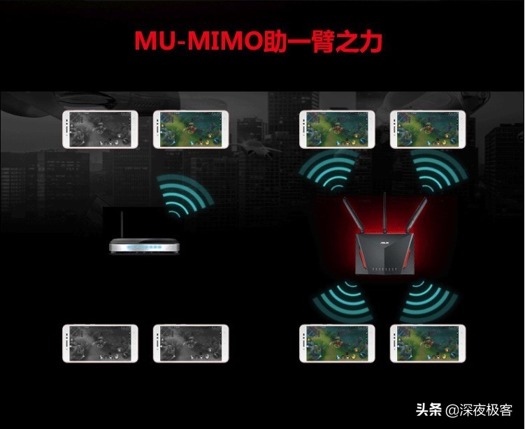 分享我的改造经历,分享我多年来的养猫经验