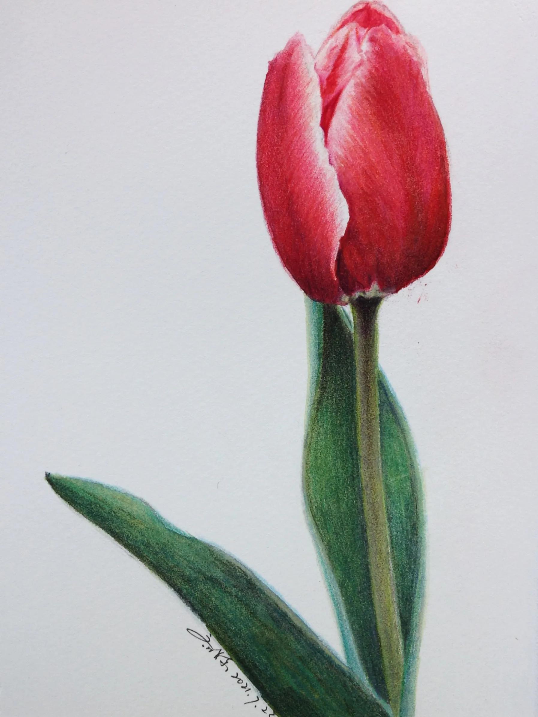 画吧画友作品欣赏,幸福原创画作品