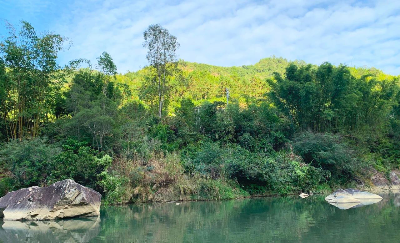 微物钓鱼vlog,蓝鲫微物