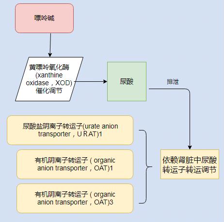 尿酸是痛风的元凶,尿酸痛风看过来