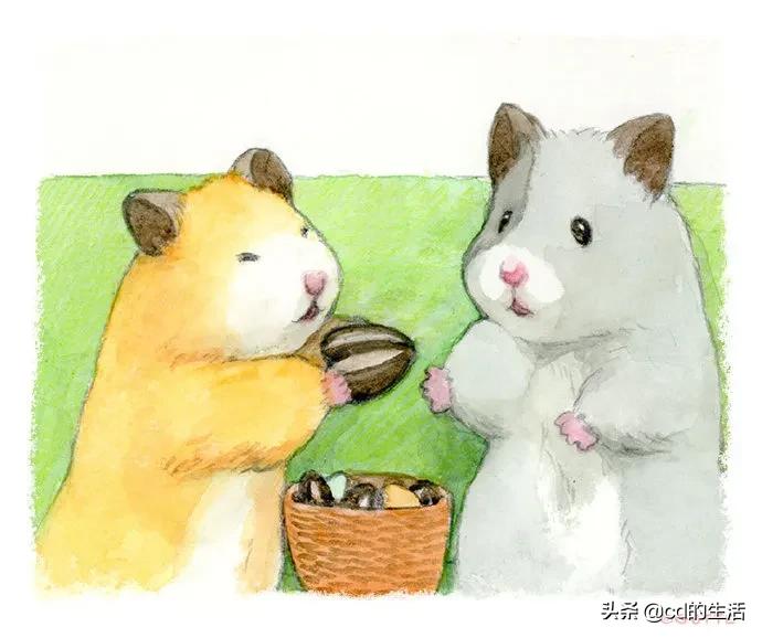 m78基因跟吃香菜有什么关系,不喜欢吃香菜的科学原因