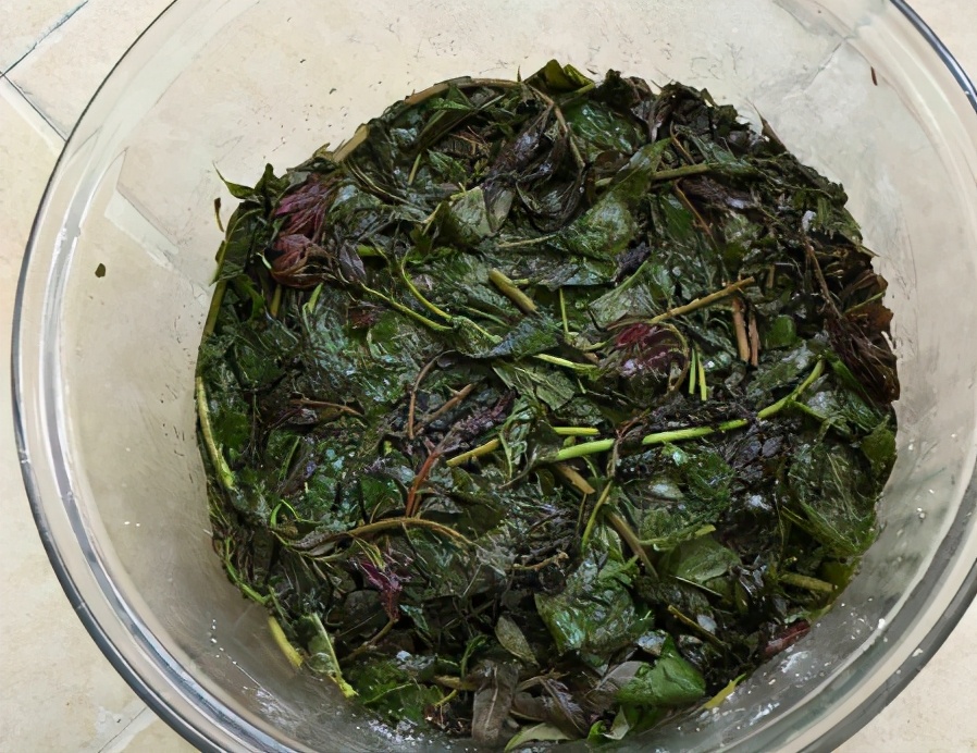 香椿要焯水后怎么腌制时间长,焯水腌香椿的正确方法