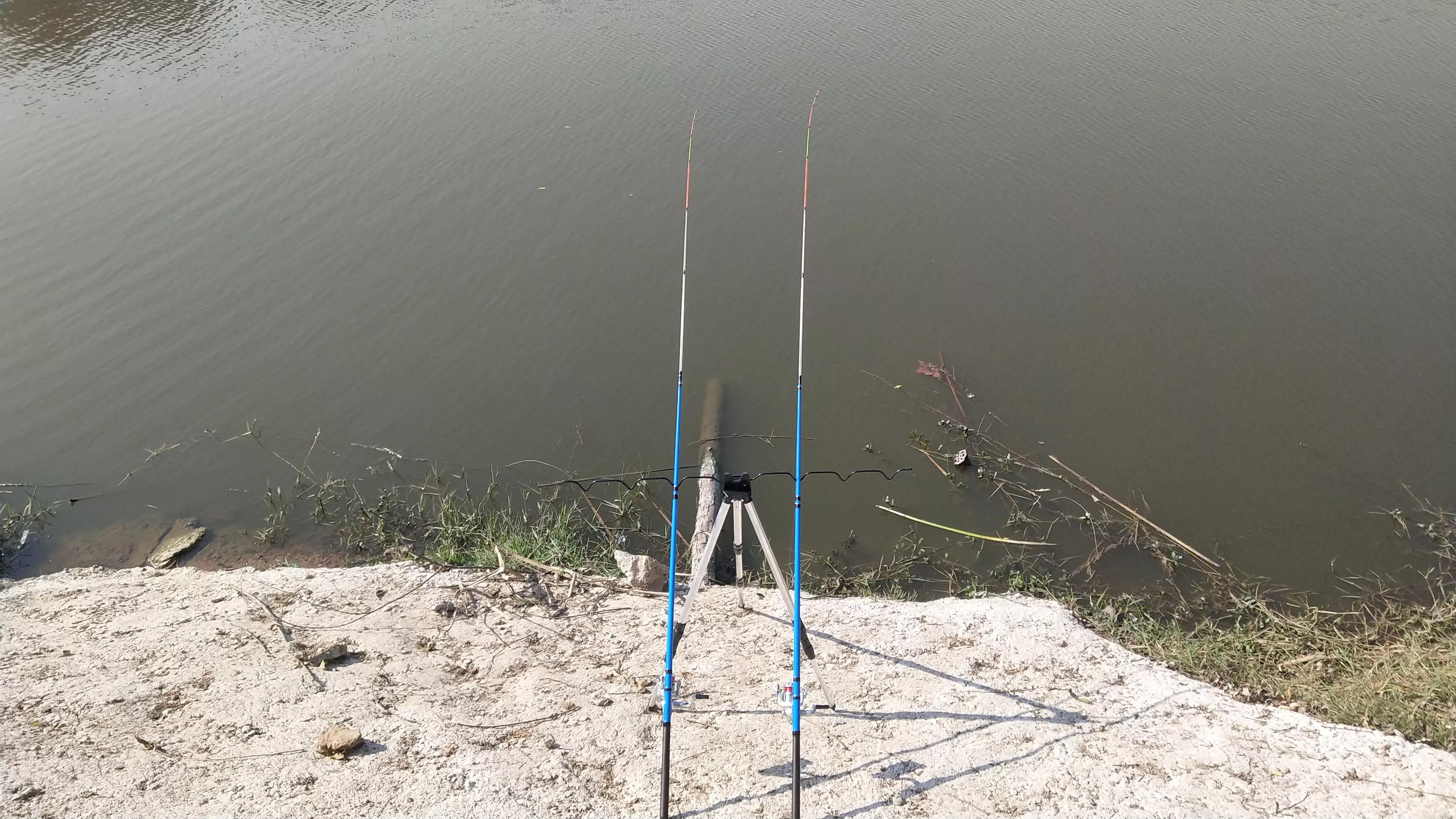 双十一鲫鱼竿测评,双十一买的鱼竿试水