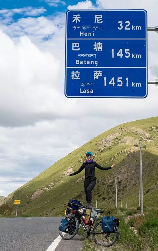 宠物美容专业的职业规划,宠物美容的理解与想法