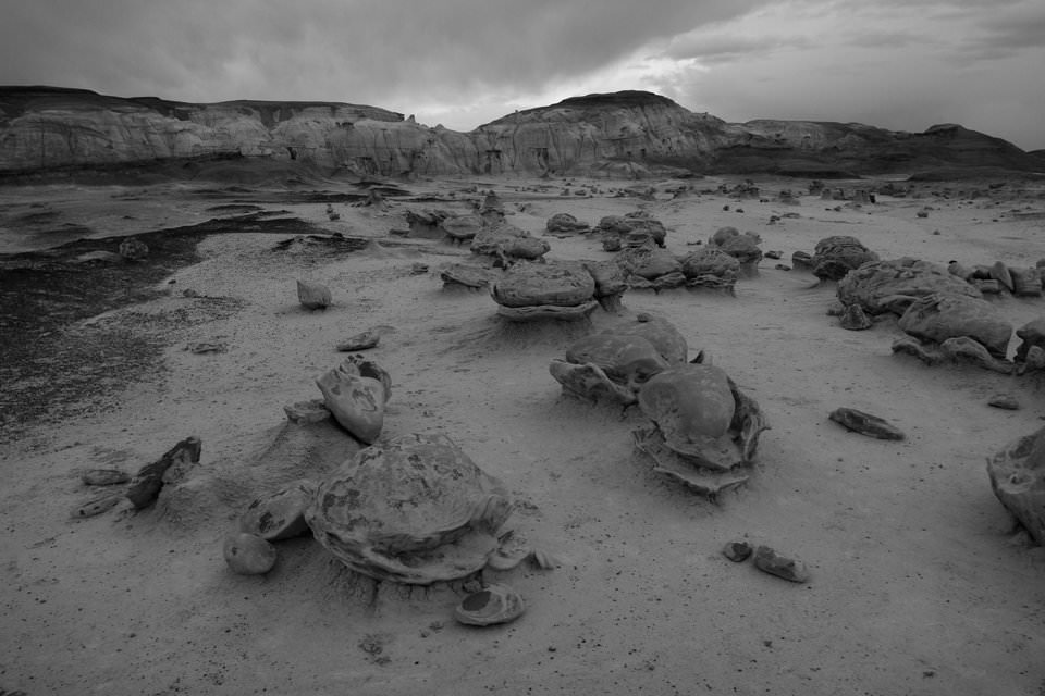 2020口碑最好的中端单反,入门单反相机推荐排行榜前十名