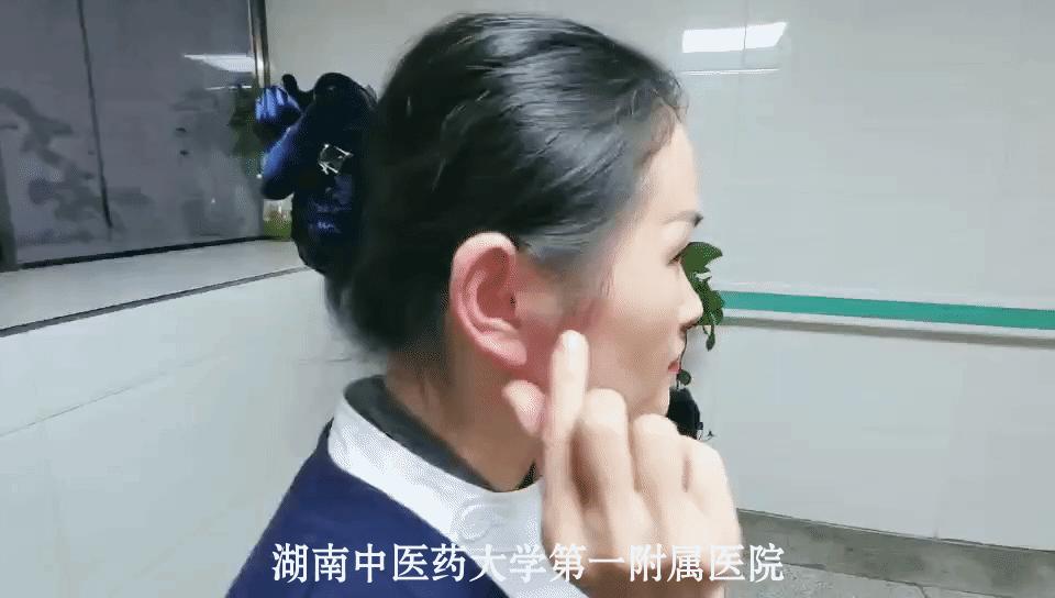 耳穴按摩养生法,气血疏通耳穴标准图片