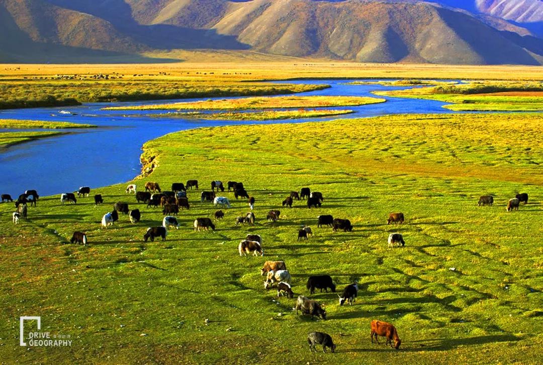 值得走一遭的网红公路,全疆最美的公路