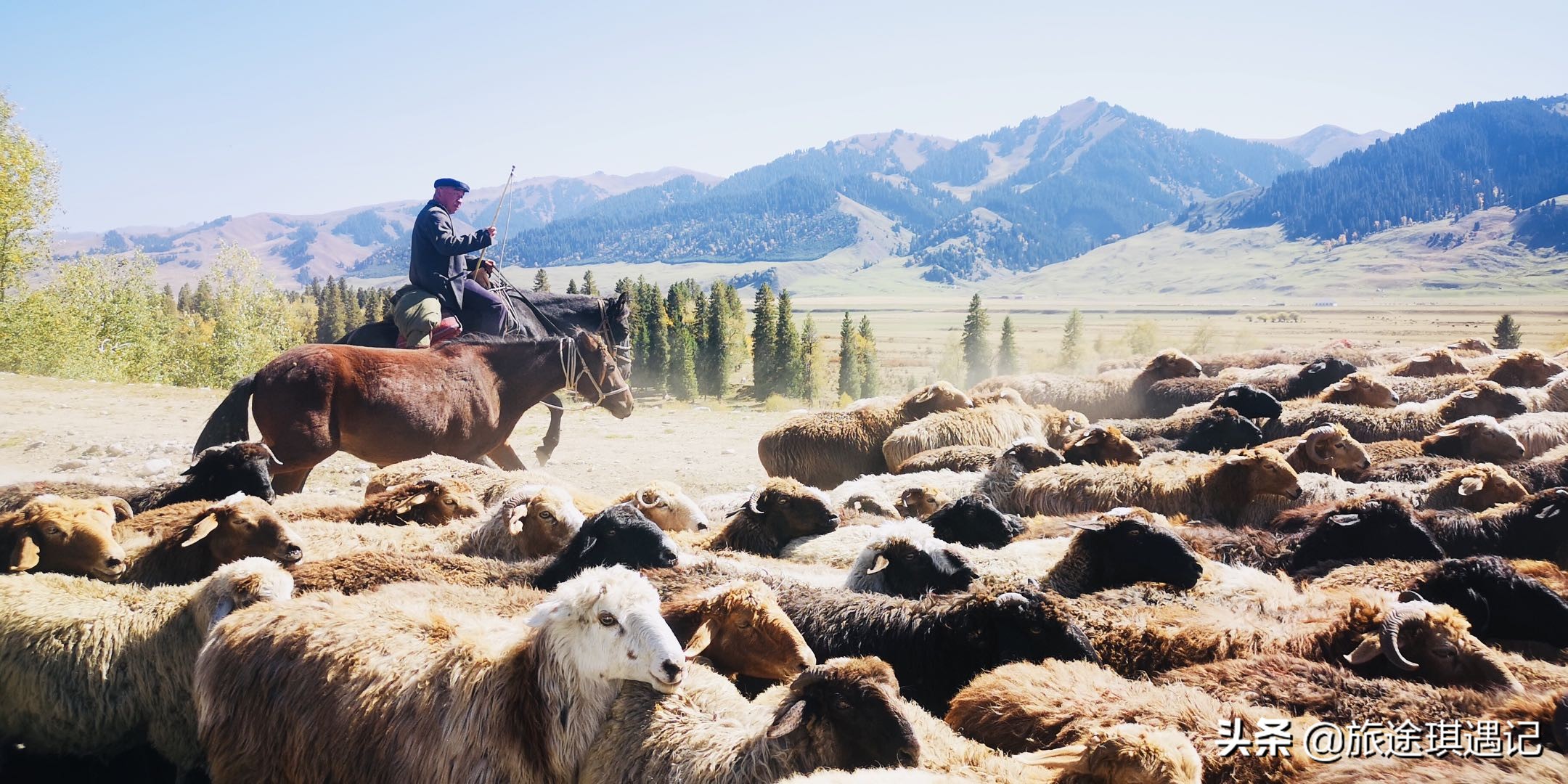 去新疆南疆北疆,去南疆北疆游