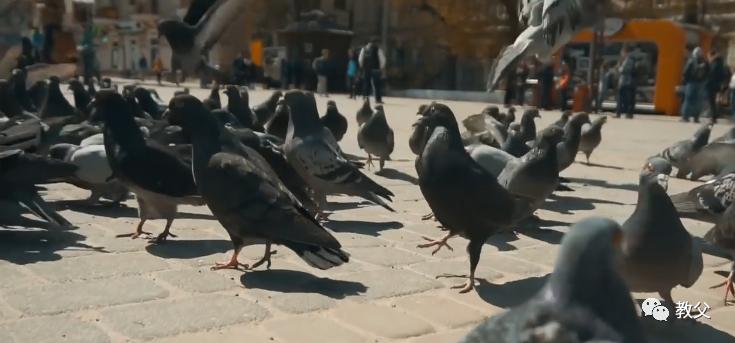 5G,6G,7G,8G,AI「爱」無所不在