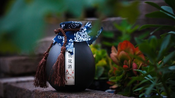 一杯桃花酿,一杯桃花酿完整版