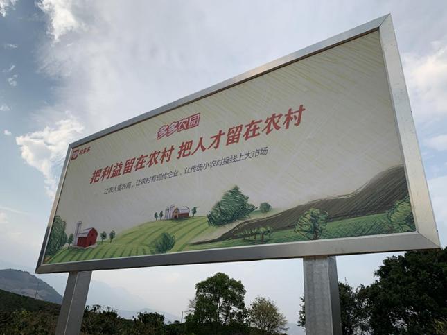 拼多多新农村规划,拼多多如何打造自己农产品产业园