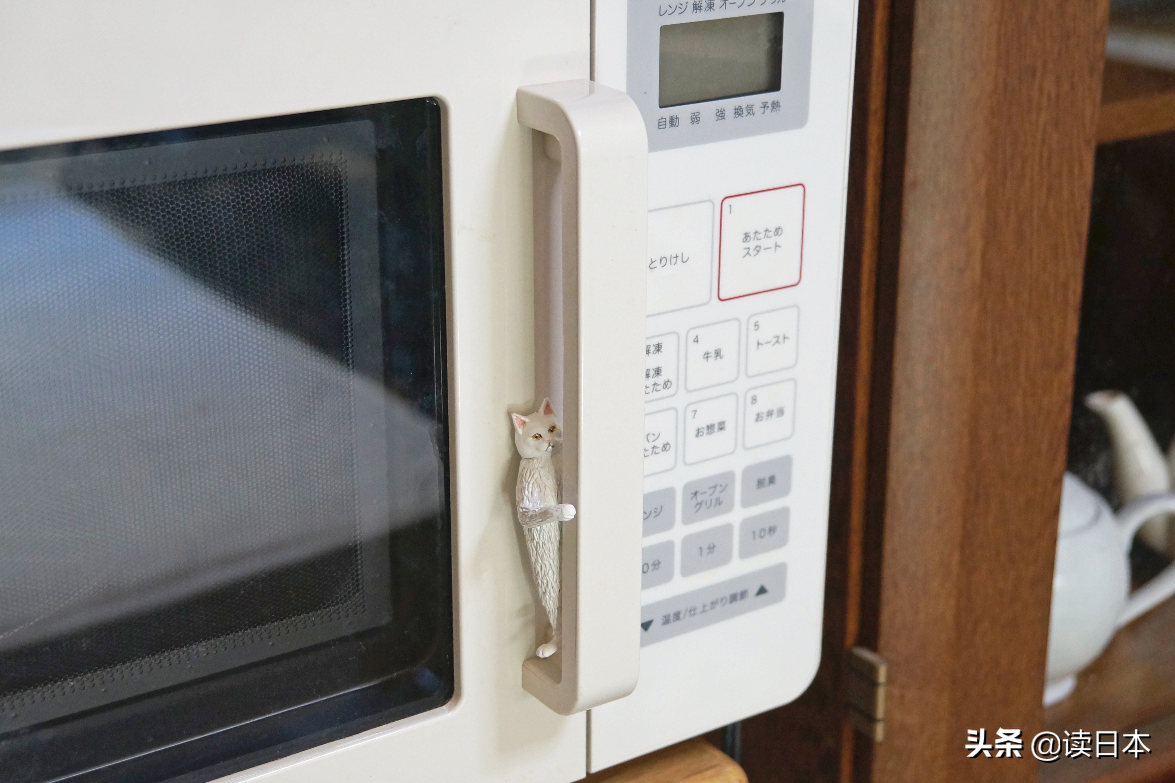 沙雕手办日本小哥,日本沙雕手办小哥哥