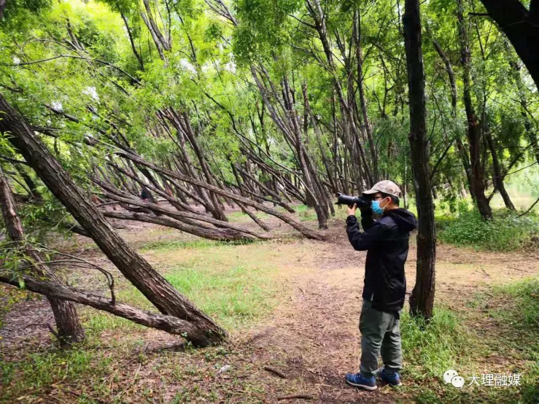 李博洋全部视频,李博洋清华大学