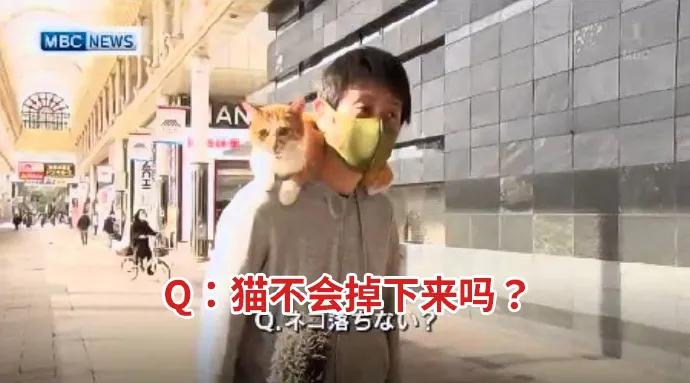 住酒店与陌生人拼房安全吗,住宾馆的体验