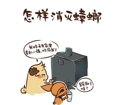 消灭蟑螂小妙招土豆,消灭蟑螂有妙招一碗水轻松搞定