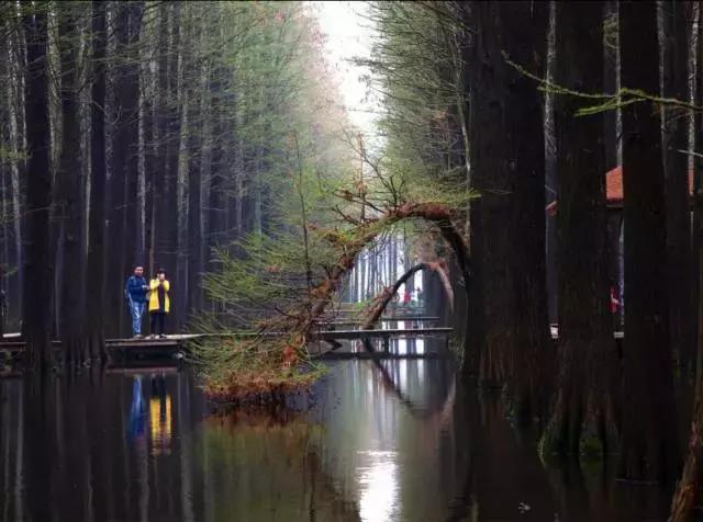 亚洲宜居城市排名2019,中国唯一一个国际评选的宜居城市