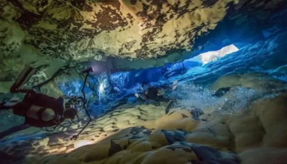 沙漠鱼濒临灭绝,全球仅剩38条的沙漠鱼怎样