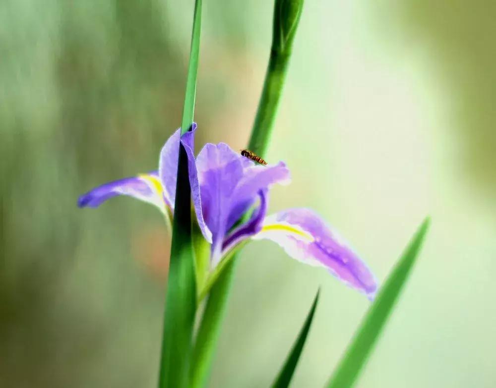 广州自驾团队,广州团队定制旅游