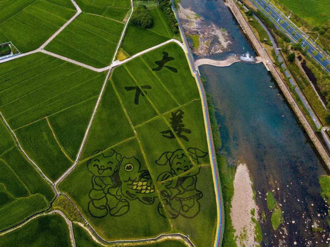 钱塘江出现巨幅画作,钱塘江大潮图片绘画