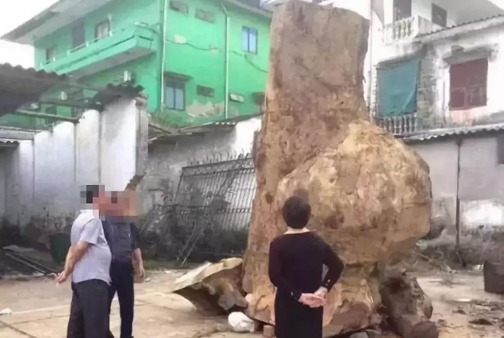 价值240万非洲的原木，雕刻成品出来后震惊全场，一片心疼声！