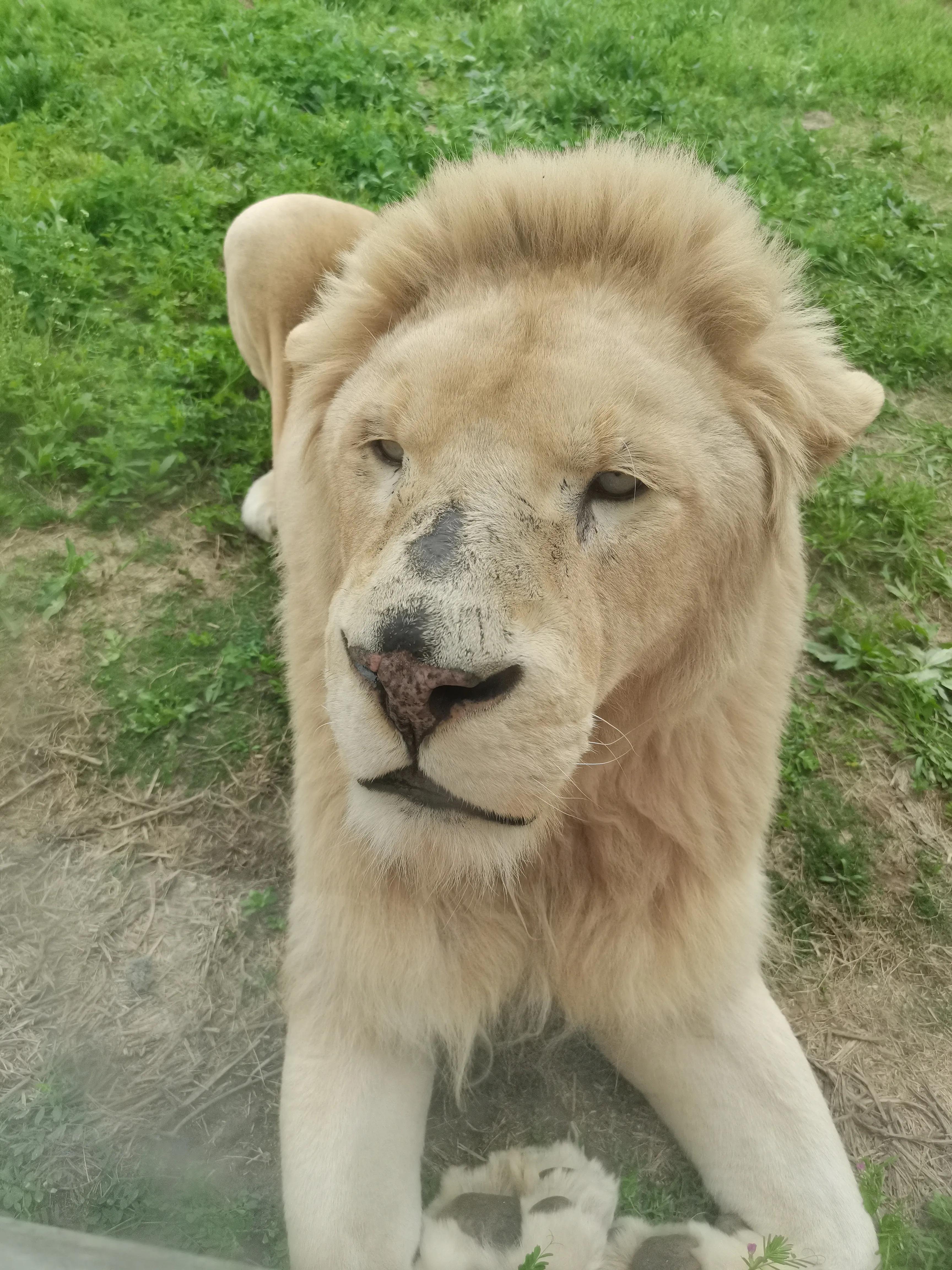 宿州火车站到宿州野生动物园,济南野生动物园和宿州野生动物园