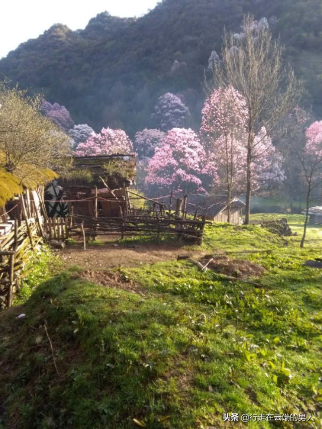 绵阳江油李白故里图片,绵阳藏王寨风景区