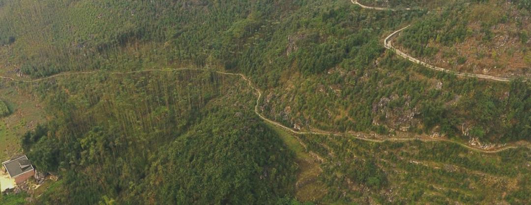 瀹滃鍙ら亾,涓夋睙椋庣墿