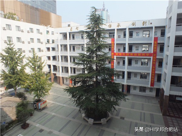 合肥42中小升初什么时间报名,合肥四十二中小升初选拔考试