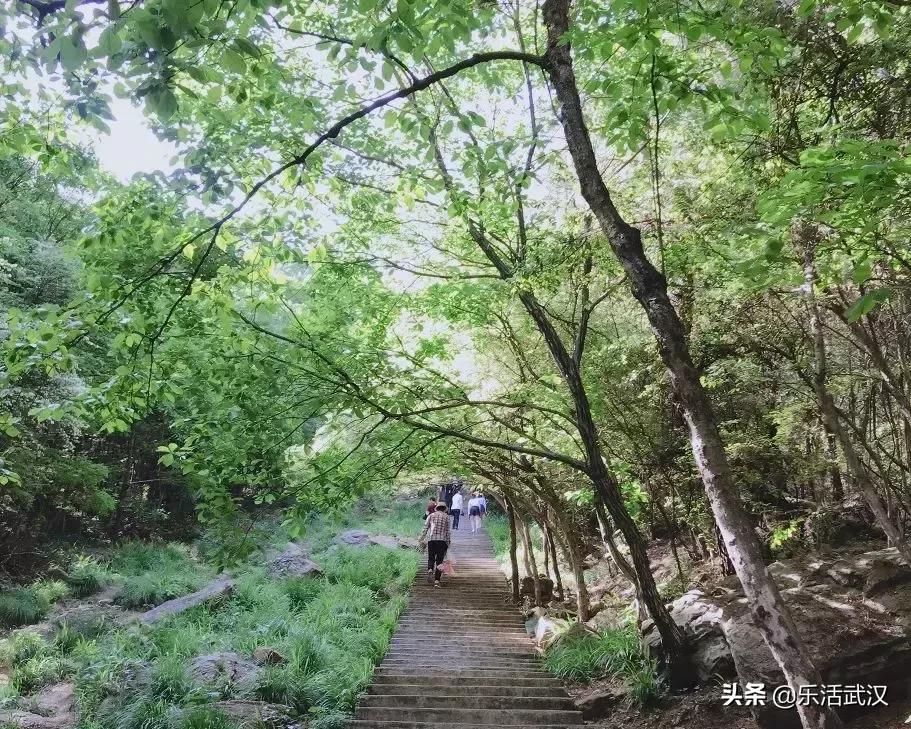 原来武汉有这么多好玩的打卡地,武汉周边新晋7大网红打卡地