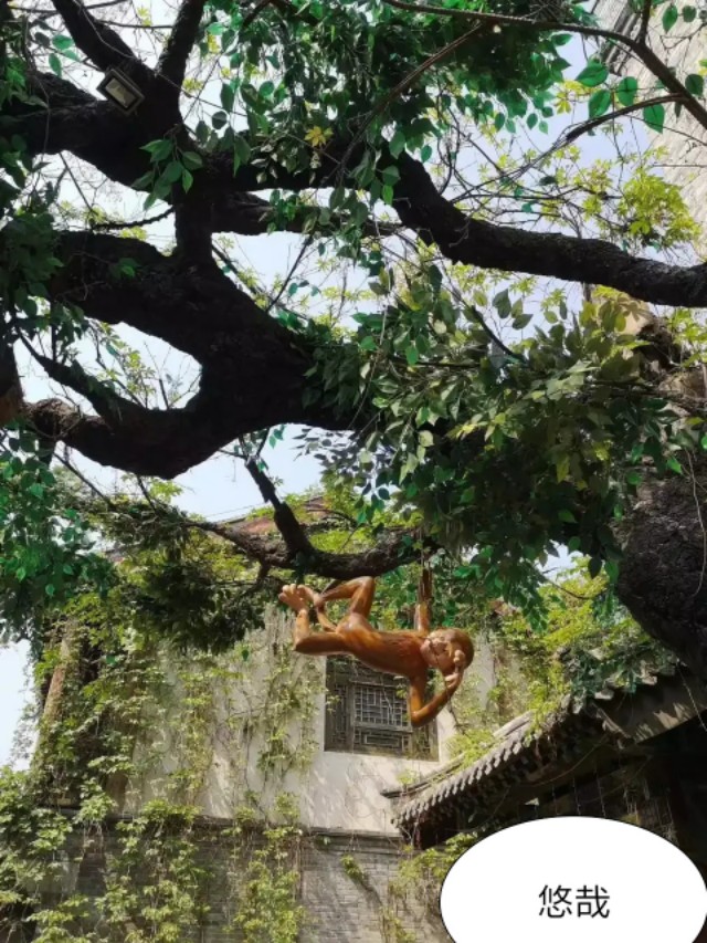 芒种种出新希望,芒种和幸福播种