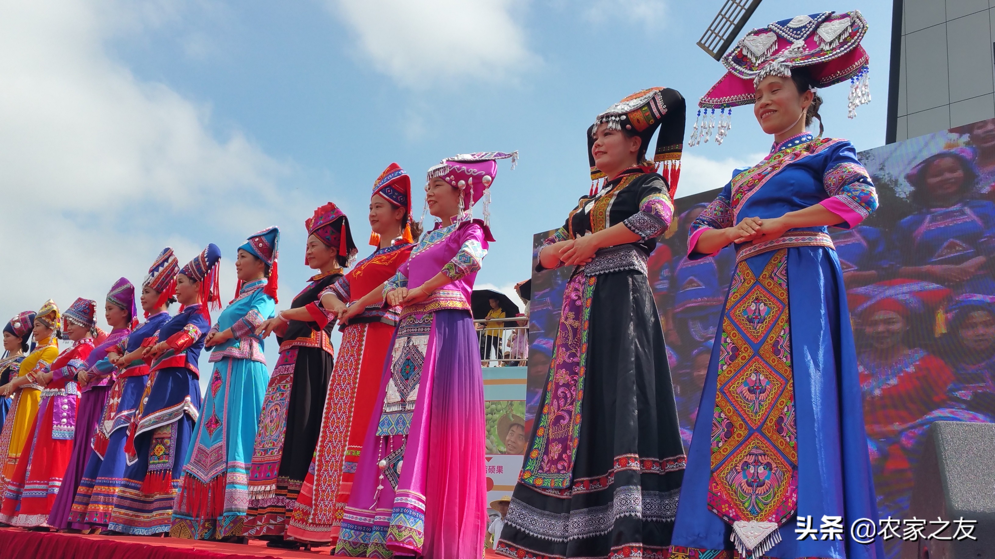 扶绥县昌平坚果苗,扶绥昌平坚果种植基地