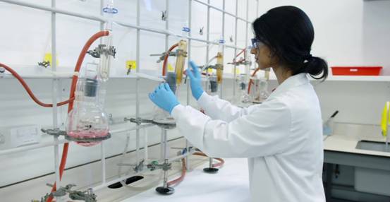 蛇中大熊猫价值,中国蛇中大熊猫