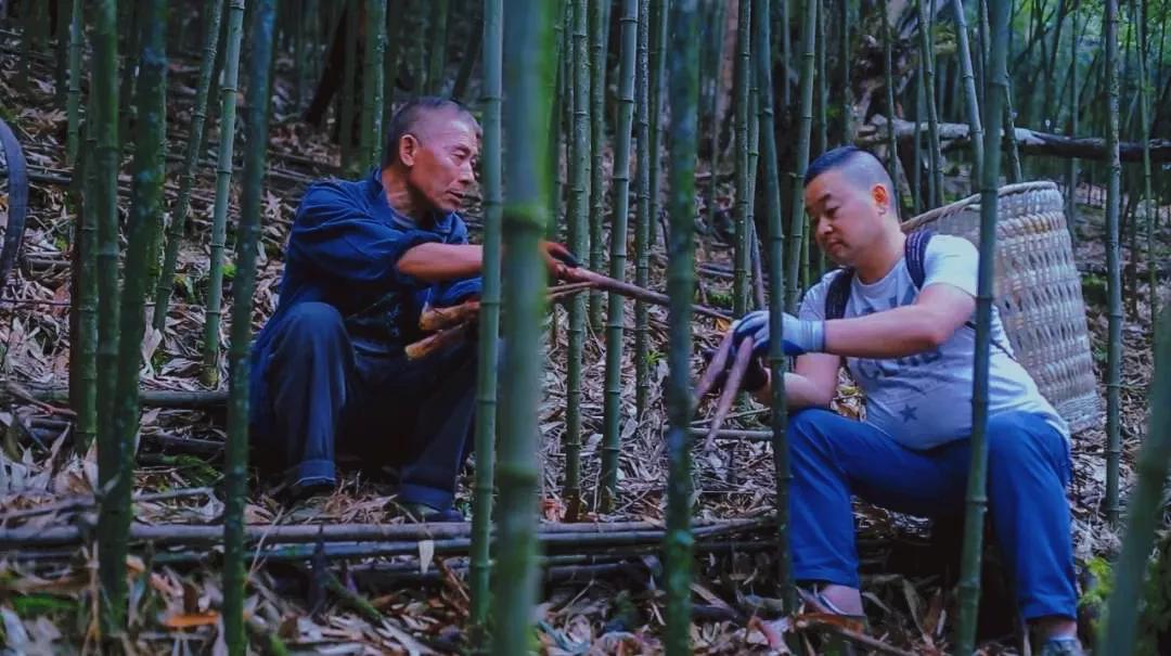 南川毛壳方竹笋,金佛山方竹笋几月份采摘