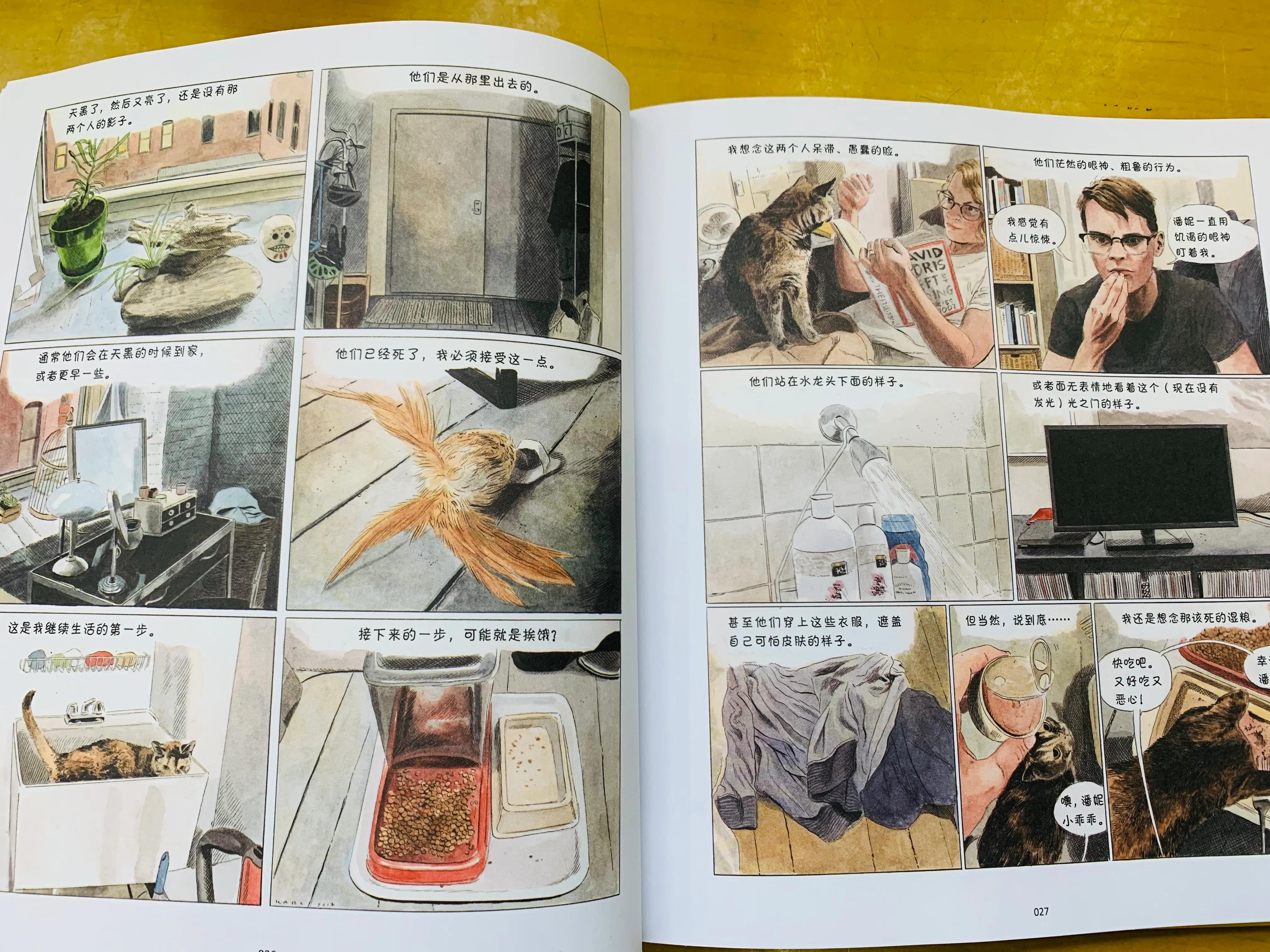 猫咪漫画治愈系短片,猫咪的搞笑漫画