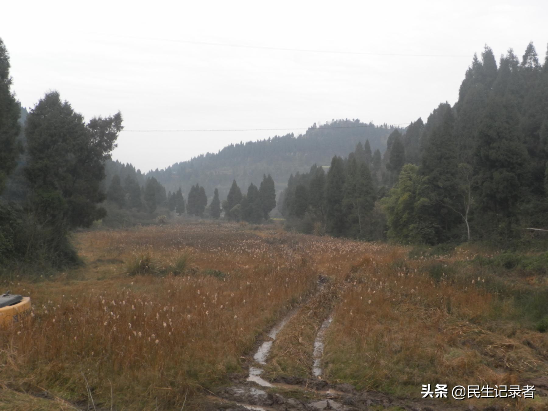 现代化养殖创业,养殖到销售如何形成产业链