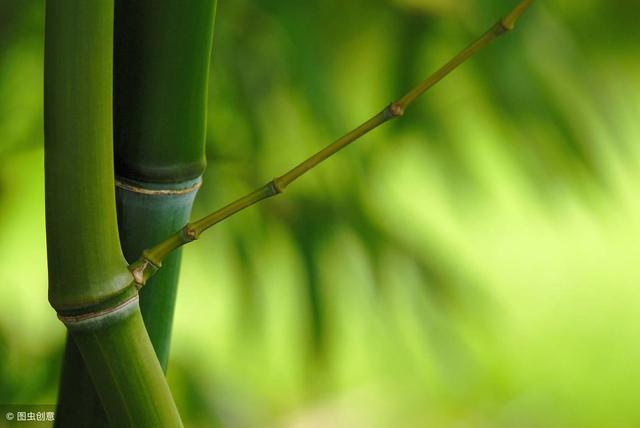 合肥最高楼恒大中心效果图,合肥恒大518米高楼图片