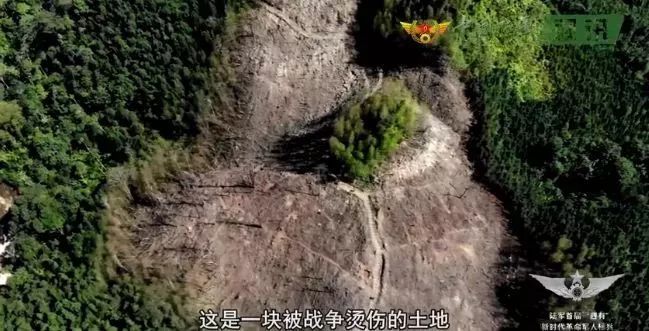 军礼的震撼瞬间,最动容的军礼