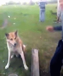 第一次人机大战电影,第一次人机战争