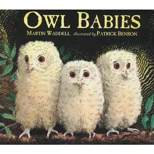 中英双语儿童绘本推荐,英国私立学校小学必读书